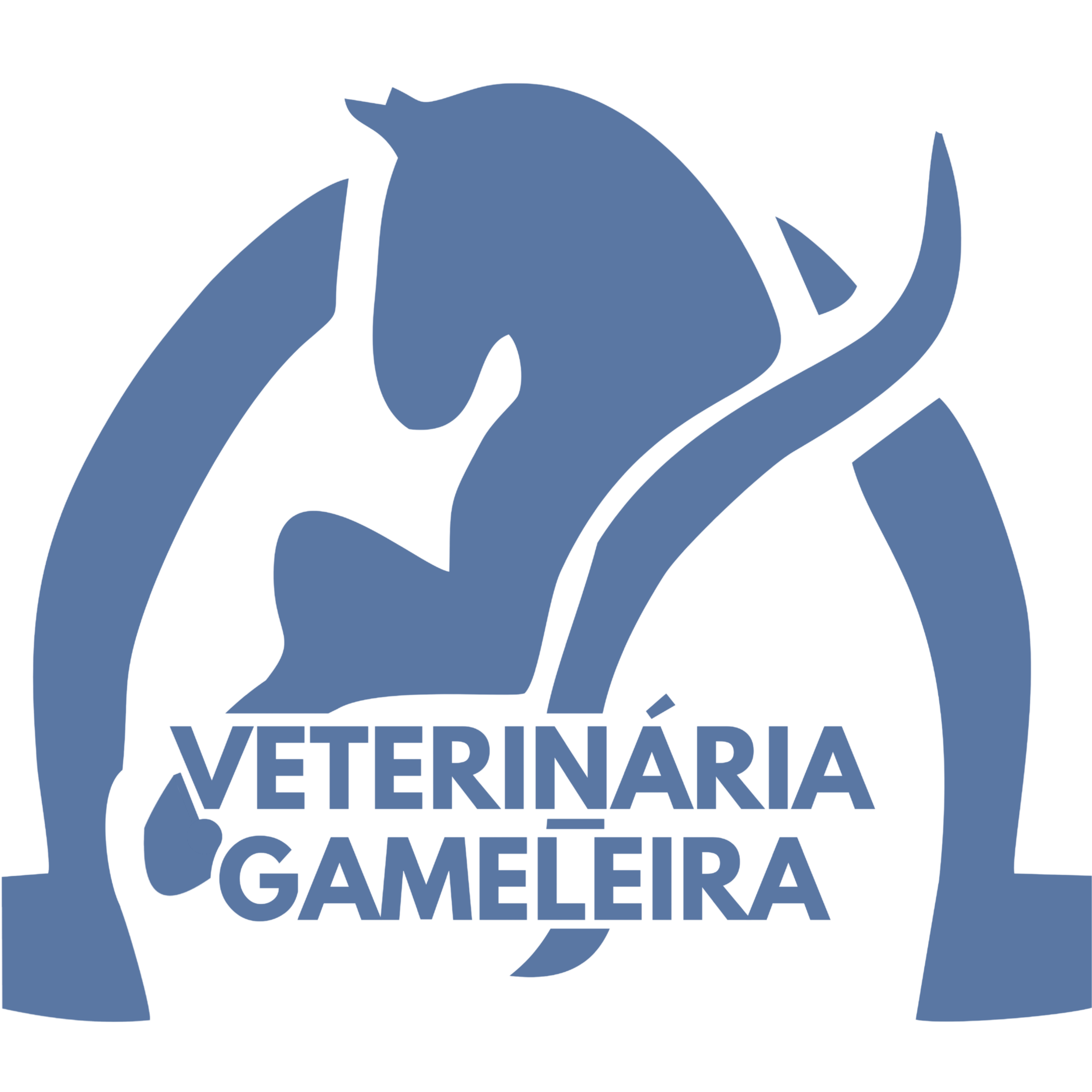 @vetgameleira